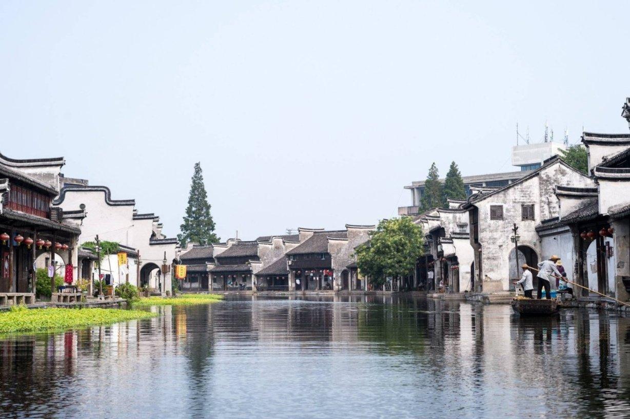 动物帮帮忙保卫家园