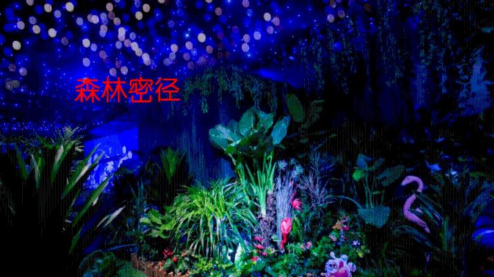 hahabet星辰大海